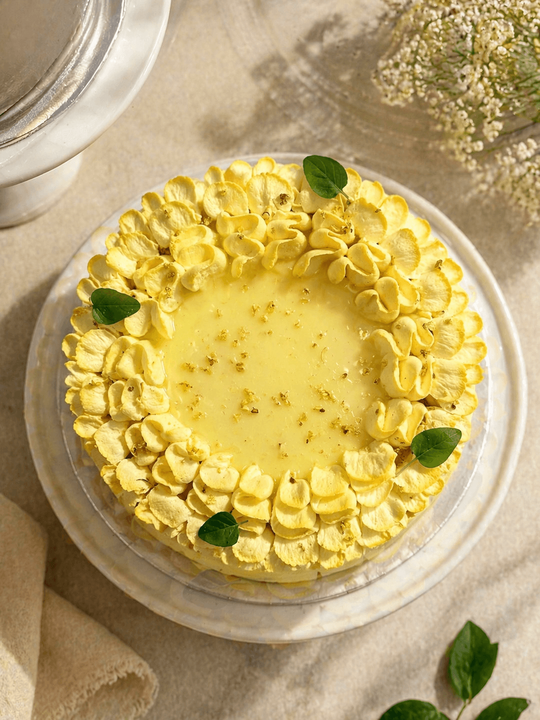 Osmanthus Longan Chantilly — alternative angle